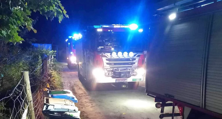 Zapaliła się suszarka do grzybów. Skończyło się na strachu