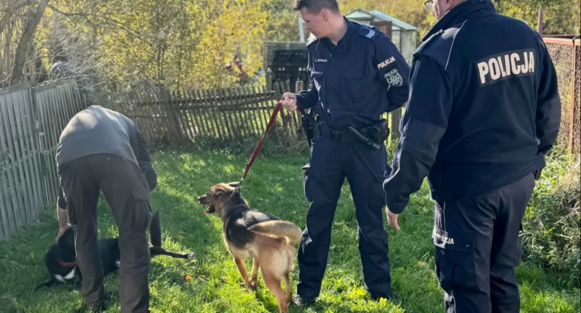 Mieszkał z psami w skrajnych warunkach. Interweniowali policjanci