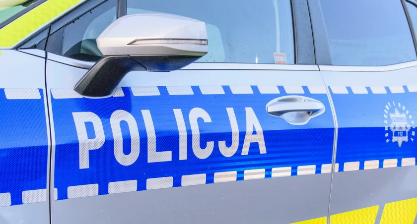Kolizje, alkohol i potrącony dzik [KRONIKI POLICYJNE]