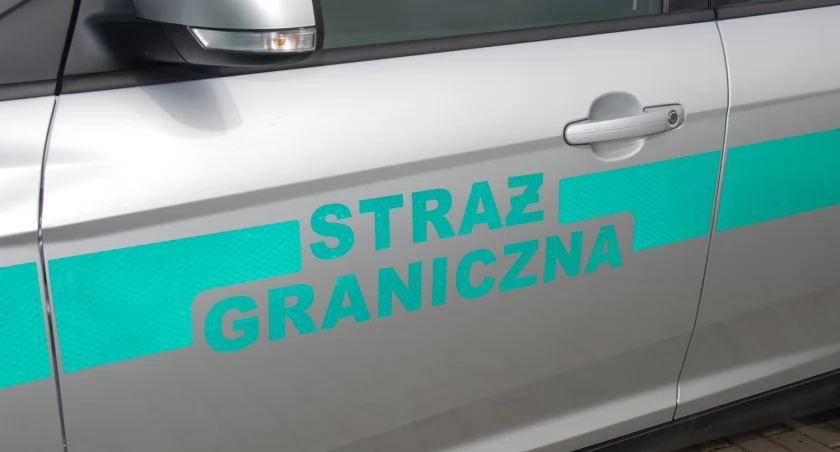 Pod Kołczygłowami zatrzymano Gruzina. Zostanie wydalony z Polski