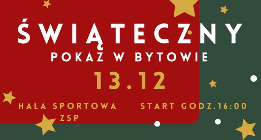 Perfect - pokazy taneczno-akrobatyczne