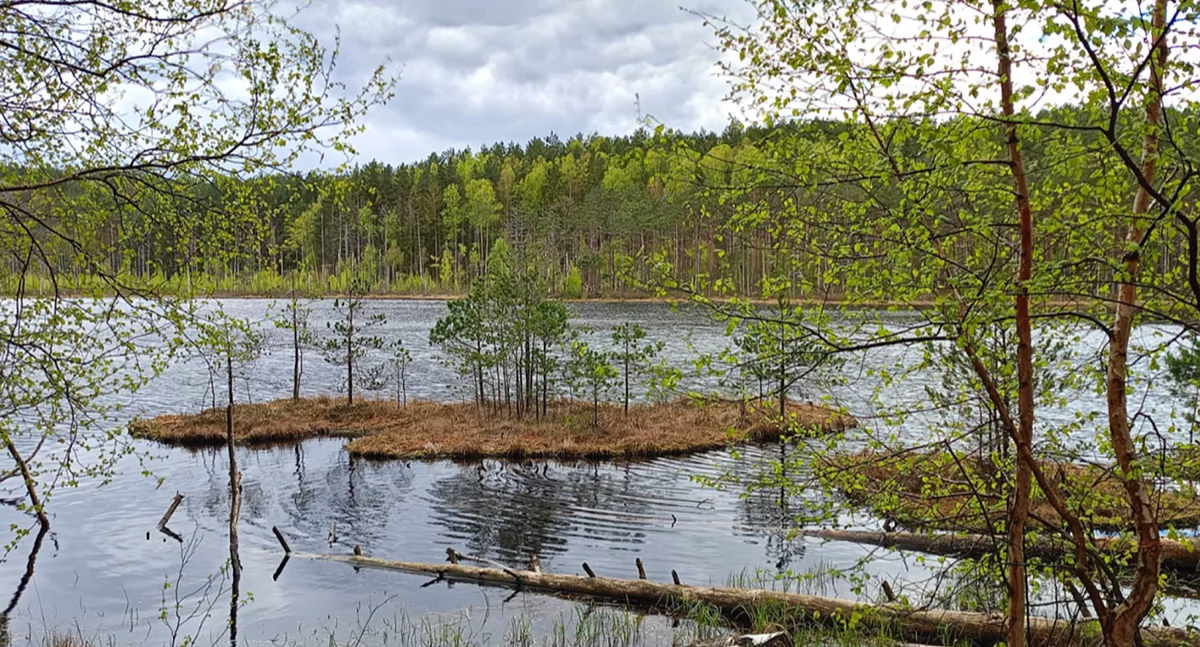 Dwa nowe rezerwaty w powiecie bytowskim
