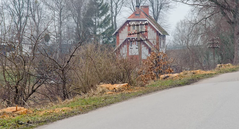 11 drzew padło pod Dąbrówką