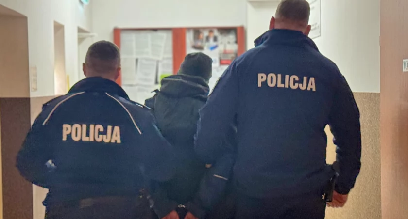 Wielka akcja służb. Na terenie powiatu zatrzymano 9 osób