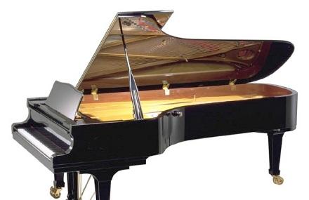 Chopin na zamku