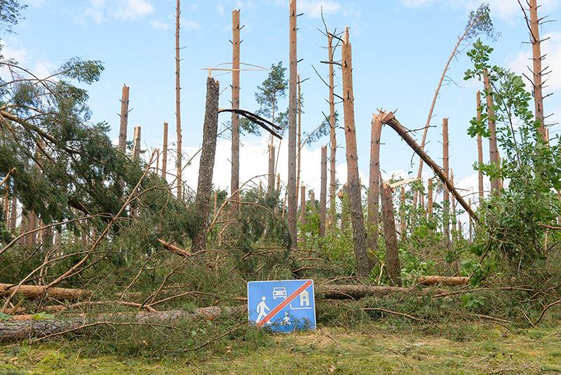 Bezpłatna pomoc dla poszkodowanych