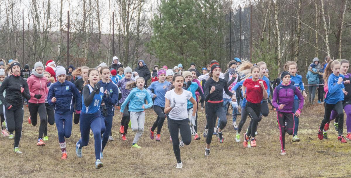 XIII Bieg Mikołajkowy w Borowym Młynie [GALERIA]