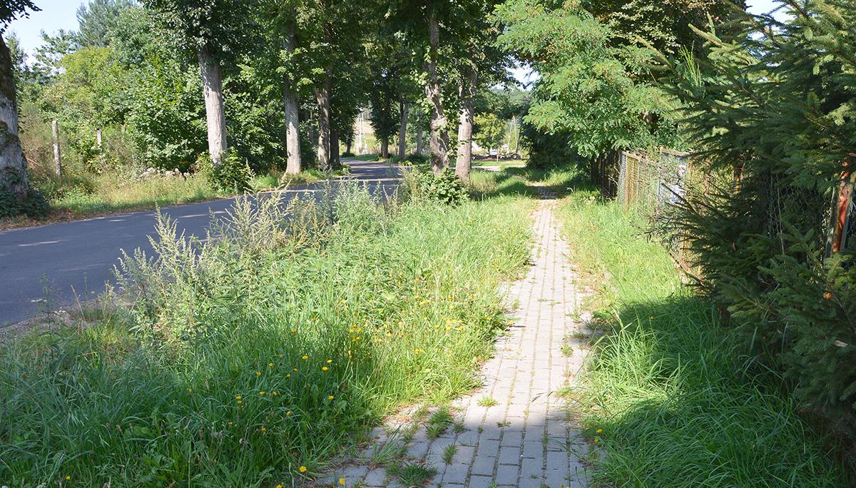 Zarośnięty chodnik z niespodziankami