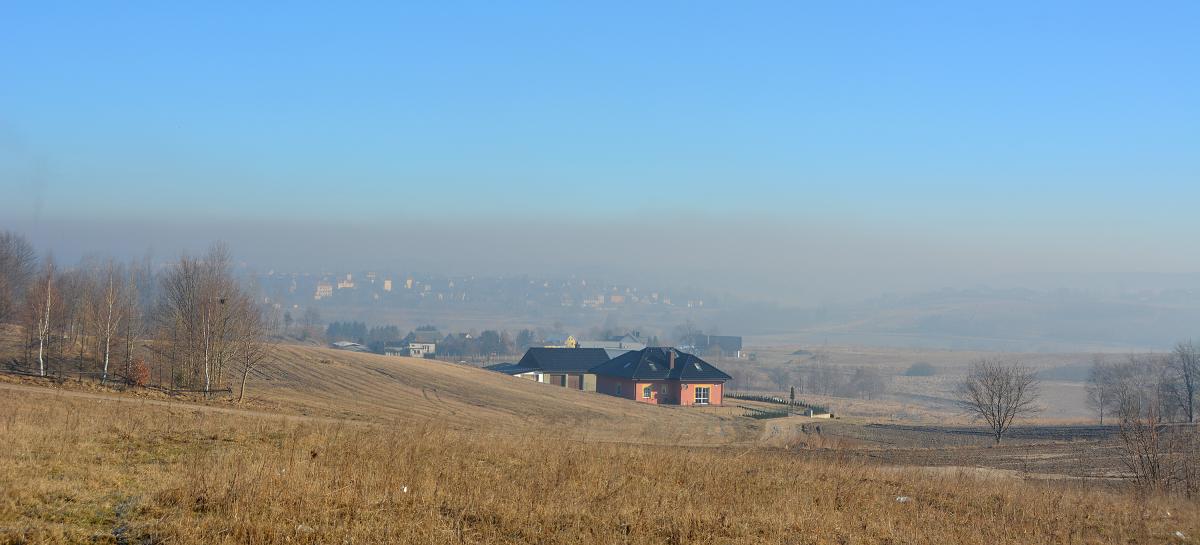 Straż miejska orężem na walkę ze smogiem?