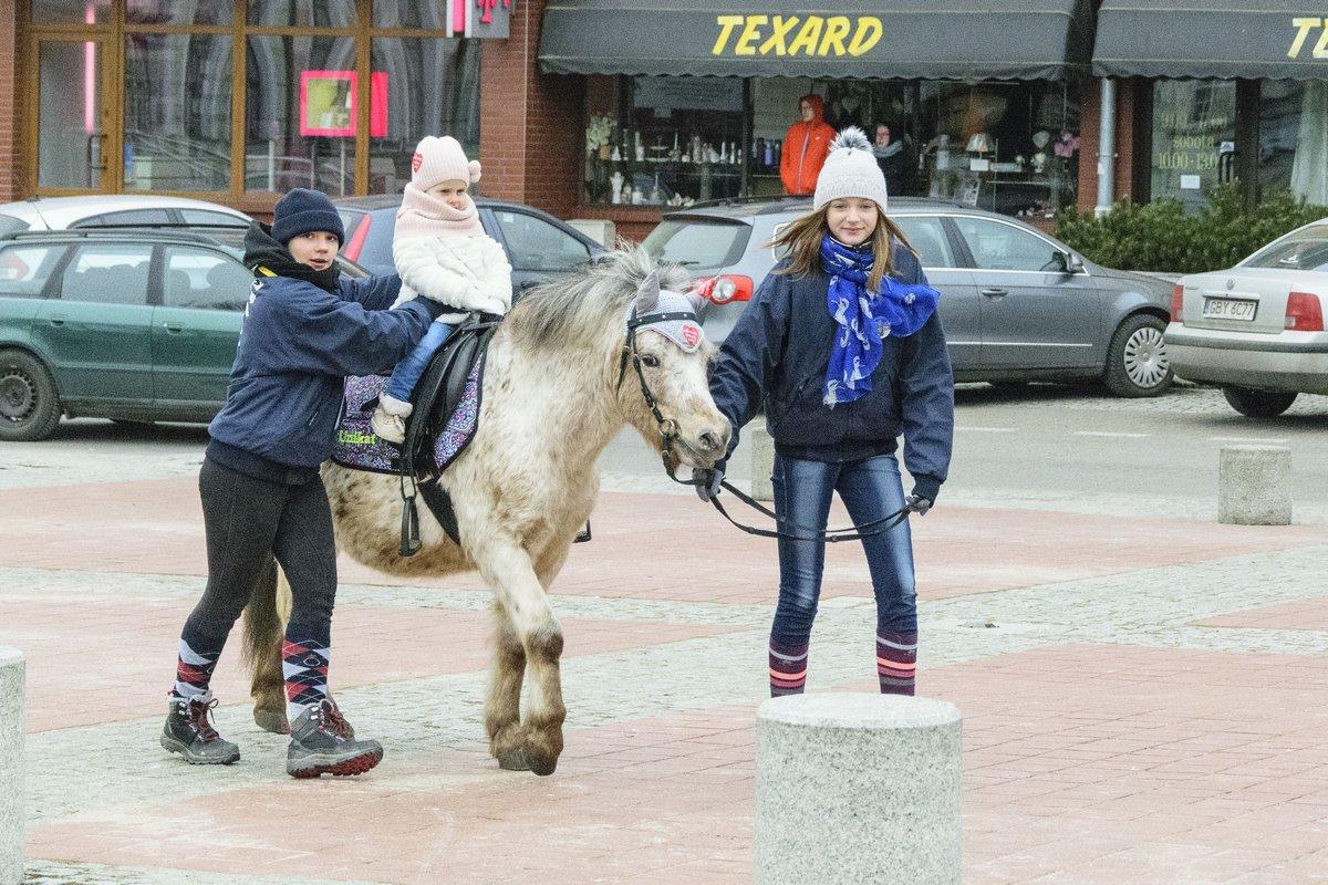 Zbieraliśmy dla WOŚP