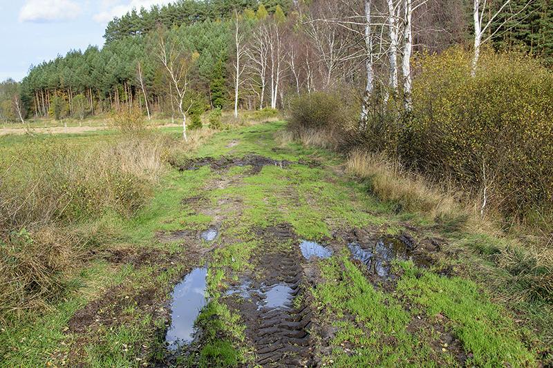 Norweskie droższe, ale więcej wytrzyma