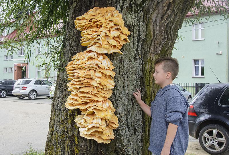 Jeszcze tylko kilka tygodni
