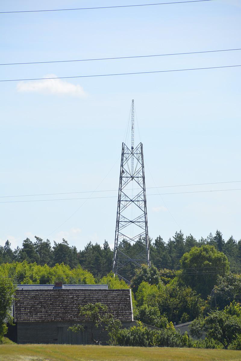 100 metrów nad lasem