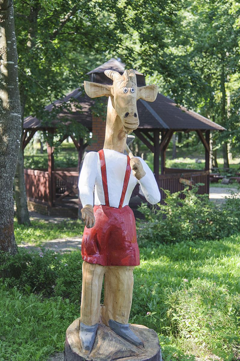 Kozy z Koziołkiem