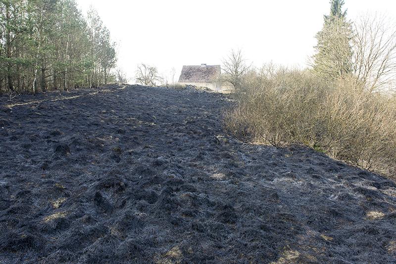 Tragedia w Trzebiatkowej