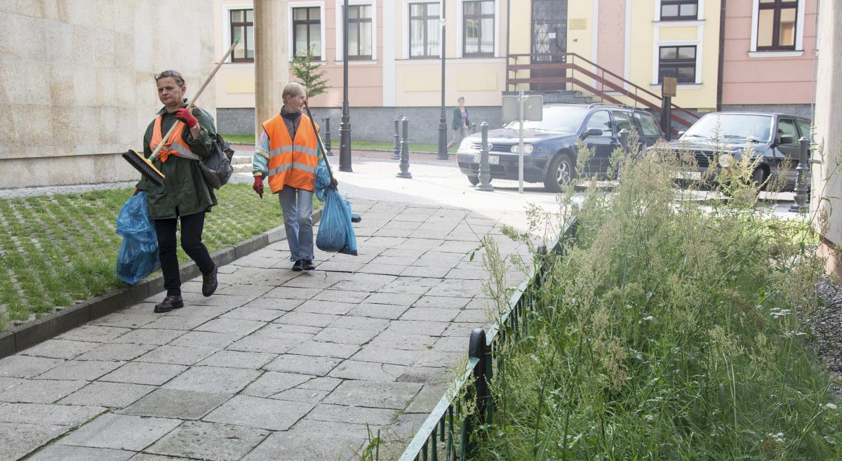 Niepotrzebny nam szczaw