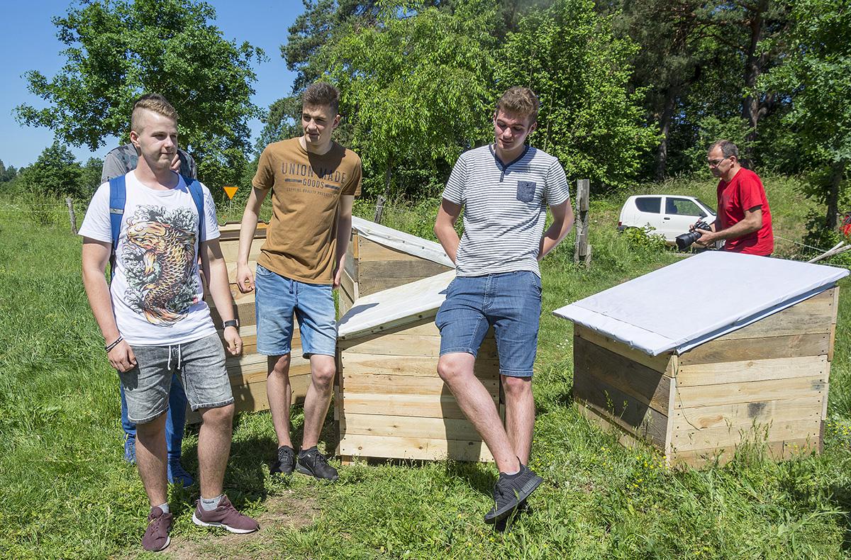 Nowe budy dla czworonogów