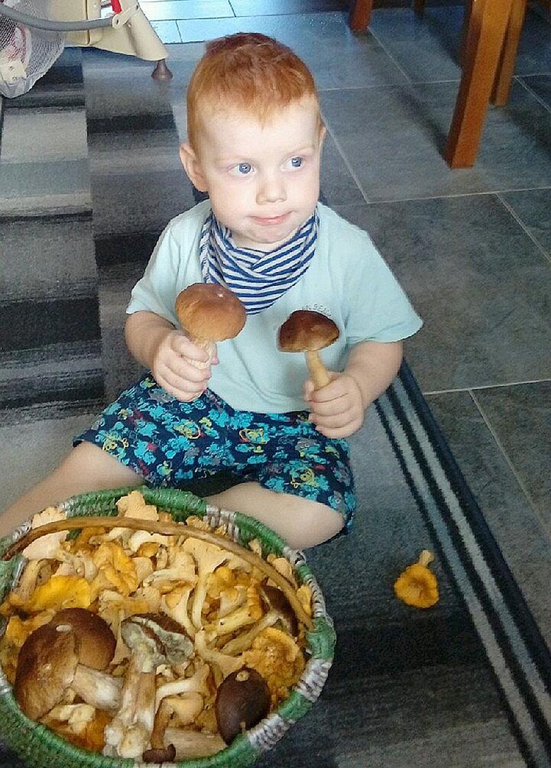 Ruszył skup prawdziwków