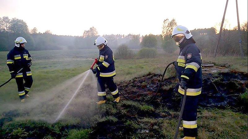 Ogień pustoszy lasy i pola