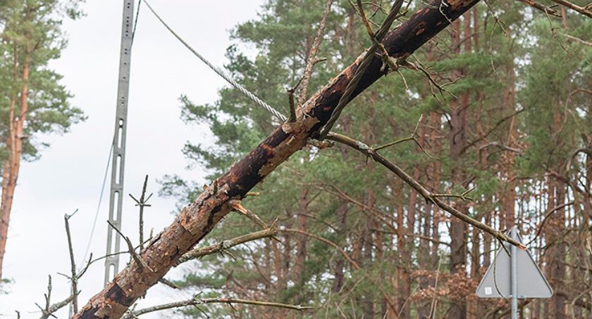 Wichura na Ziemi Bytowskiej