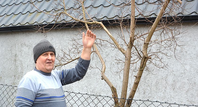 Samochody pędzące ul. Krótką w Nakli