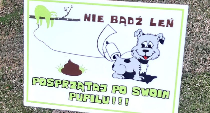 W Bytowie tablicami zachęcają do sprzątania po pupilach