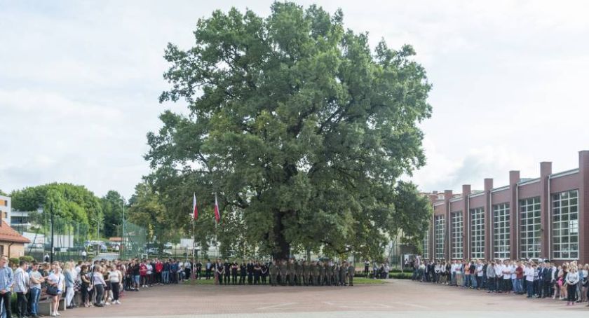 Historia 160-letniego dębu rosnącego przed Zespołem Szkół Ponadpodstawowych w Bytowie
