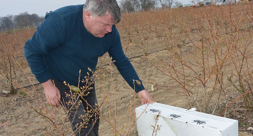 Wiosna u sadowników i plantatorów
