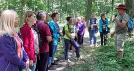 Na ścieżce przyrodniczej „Szlakiem bytowskich jezior lobeliowych”
