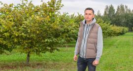 Plantacja orzecha laskowego w Niezabyszewie Krzysztofa Fornala