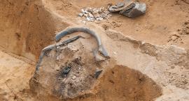 Wykopaliska archeologiczne pod Bytowem