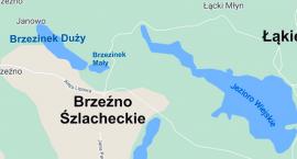 Brzezinek Duży trafi na przetarg