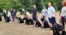Schnauzerfest 2021 w stajni Zdroje