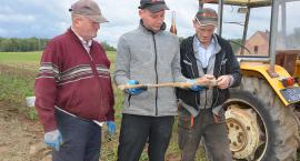 Karabin na polu ziemniaków w Ugoszczy