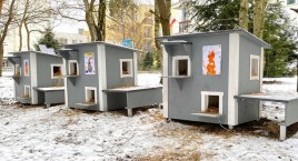 W Bytowie stanęły domki dla bezdomnych kotów