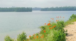 Gmina Parchowo sprzedała kolejne działki nad jeziorem Mausz