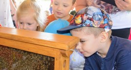 Pomysł na takie miejsce chodził nam po głowie od dłuższego czasu. Zagroda Cud-Miód w Niezabyszewie