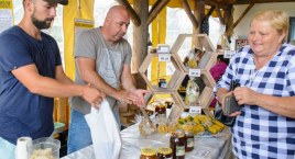 Piknik Pszczelarski w Zagrodzie Cud Miód w Niezabyszewie