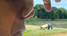 Śmierdzi, śmierdziało i...będzie śmierdziało 