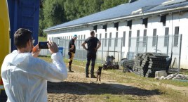 Pół tysiąca martwych zwierząt, ponad 1 mln zł strat. Pożar chlewni w Mydlicie