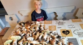 Udane grzybobranie nad jeziorem Jeleń