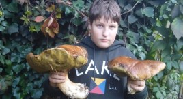 Po rekordowe okazy prawdziwków wybiera się w to samo miejsce