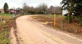 Ratusz zlecił wycinkę kilkunastu świerków na ul. Kazimierza Wielkiego w Rzepnicy
