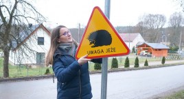 Takie znaki przy drogach powiatowych w naszych stronach zobaczymy tylko przy wjazdach do Gałąźni Małej. Kierowcom przypominają, by uważali na jeże
