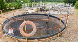Przybędzie dróg, sieci wodno-kanalizacyjnych, zmodernizowana zostanie oczyszczalnia. Budżet Gminy Studzienice na 2023 r.