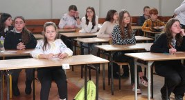 Bycio herbu Kasztan doczekał się swojego pierwszego konkursu