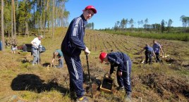 W Parchowie spodziewali się 100 osób. W akcji sadzenia lasu wzięło udział dwa razy więcej uczestników