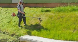 Tereny zielone należące do gminy Bytów będą koszone tylko dwa razy. Są dwa powody takiego podejścia
