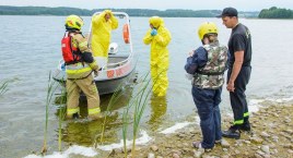 W Sominach znaleziono martwą mewę, u której potwierdzono obecność wirusa ptasiej grypy