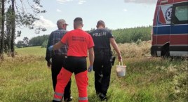 Grzybiarz upadł w lesie. Potrzebna była pomoc ratowników medycznych